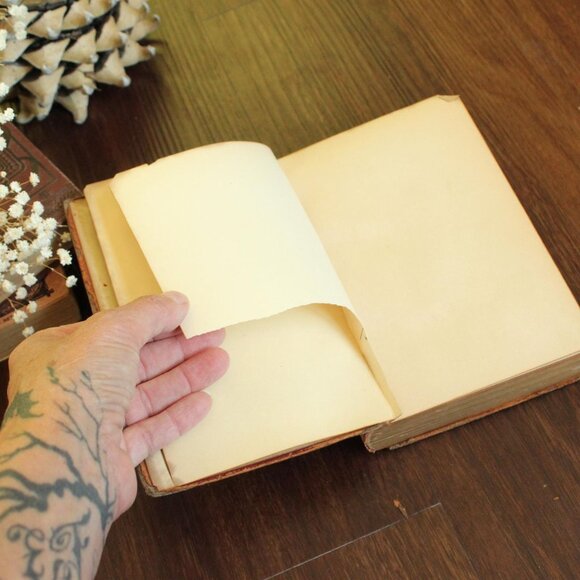 Vintage 1880s Book, Elizabeth Barrett Browning Aurora Leigh A Poem in Nine Books - Picture 5 of 10